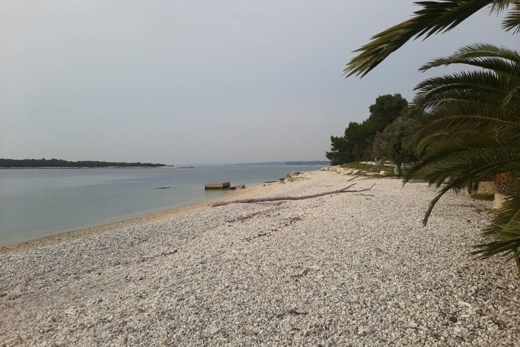 Apartment Near Fazana-500 From The Sea