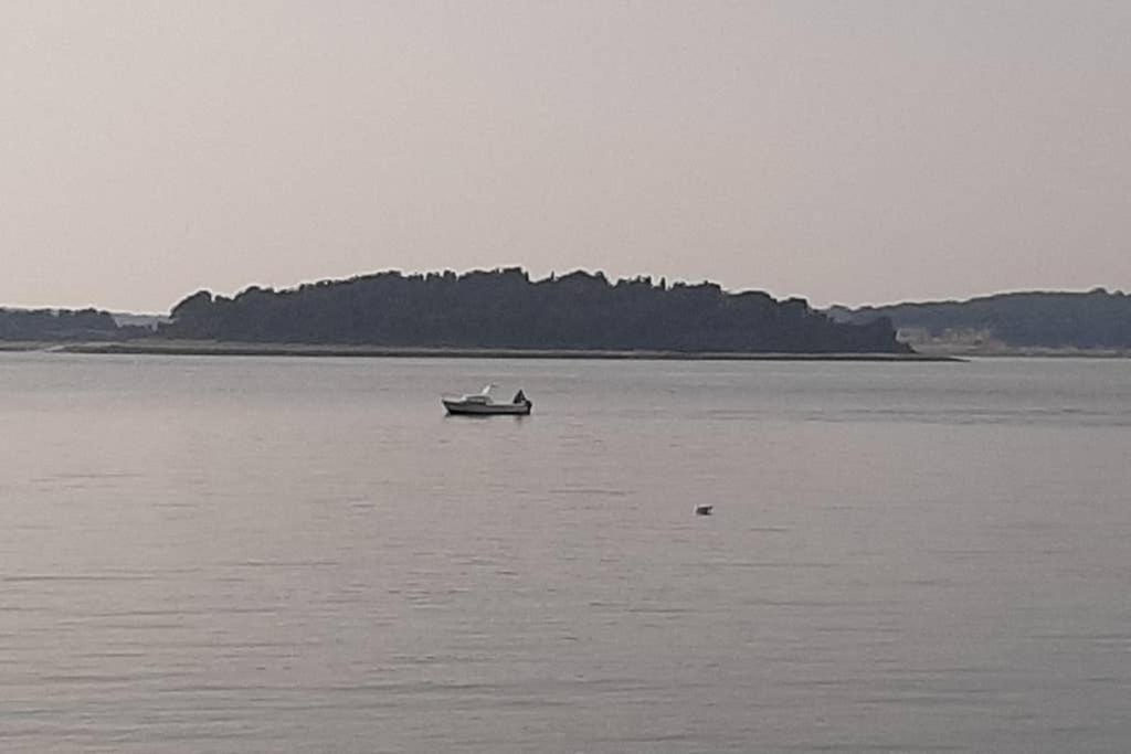 Near Fazana-500 From The Sea Apartment